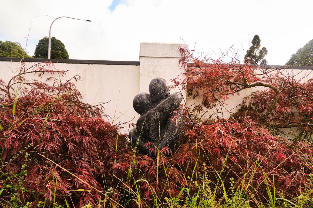 Victorian Designs - Spacious Home In Rotorua Central エクステリア 写真